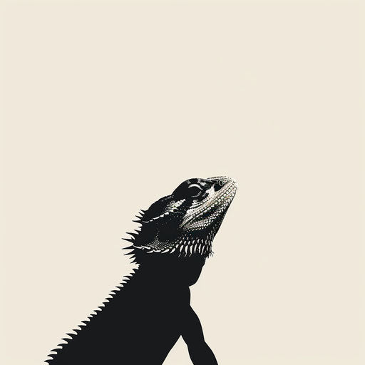 Elegant silhouette of a bearded dragon