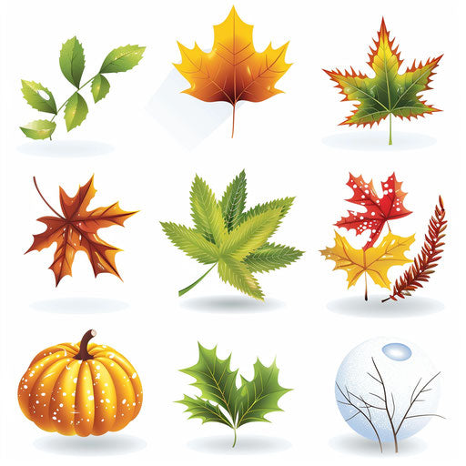 Seasons clipart in a photo realistic style, white background