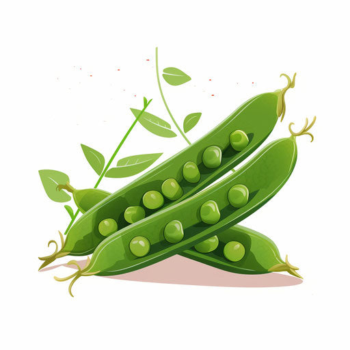 Peas illustration in minimalist style, on white background