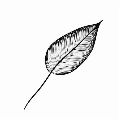 Minimalist leaf clipart on white background