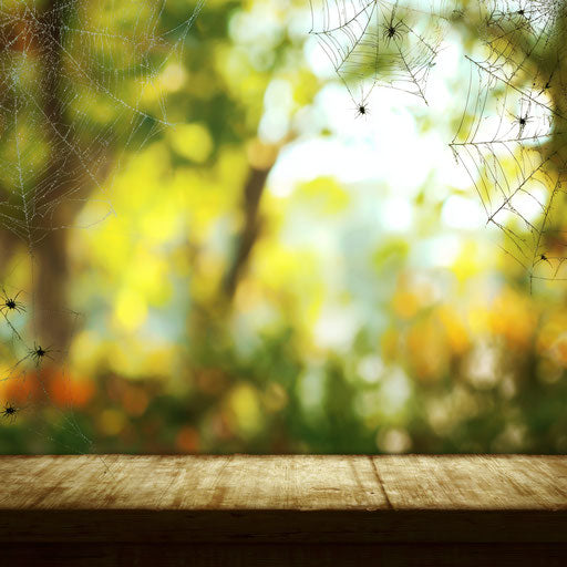 Playful and spooky: Bright Halloween decorations