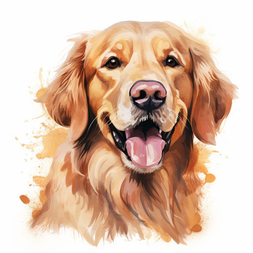 Golden retriever clipart in the style of Oil painting on white background