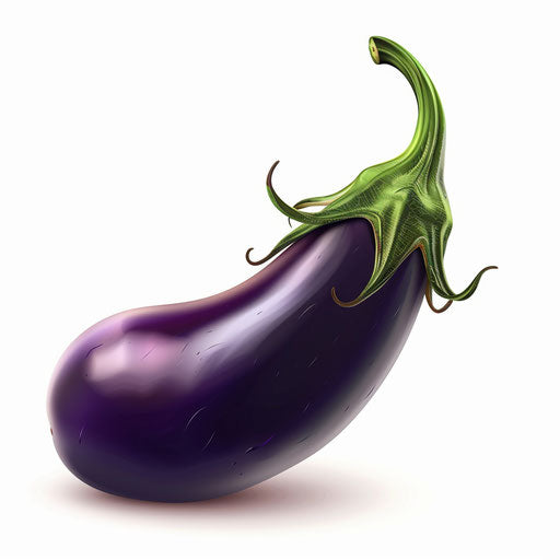Realistic eggplant clipart on flat white background