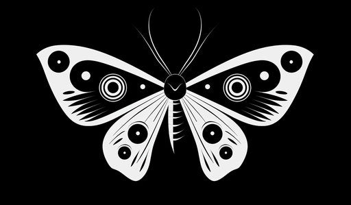 Butterfly with simple black and white features