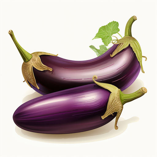 Eggplant clipart in the style of Chiaroscuro Art, on white background