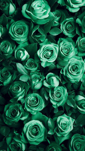 Green rose background, wallpaper for mobile phone