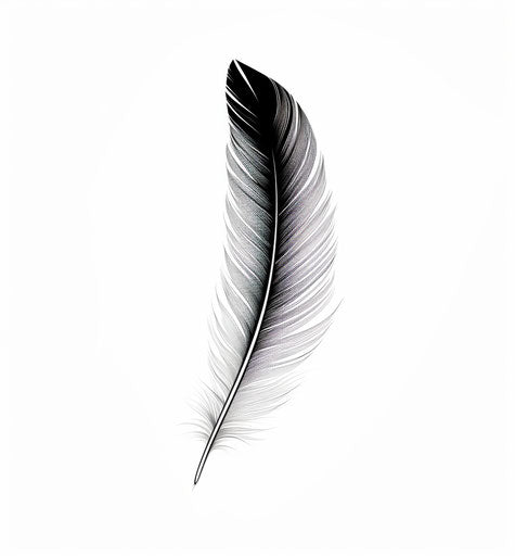 Feather wing on white background, minimalist pen drawings style