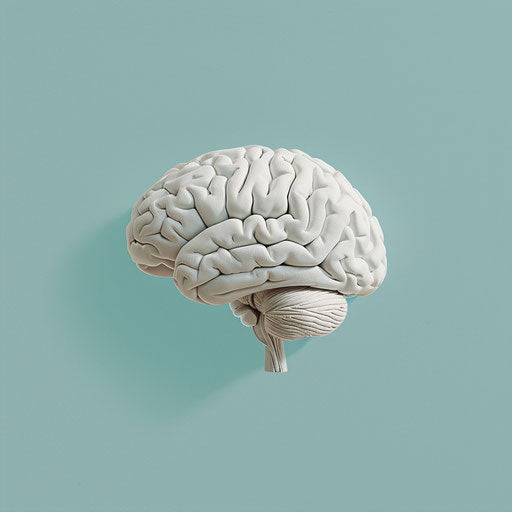 Realistic brain clipart on serene blue background