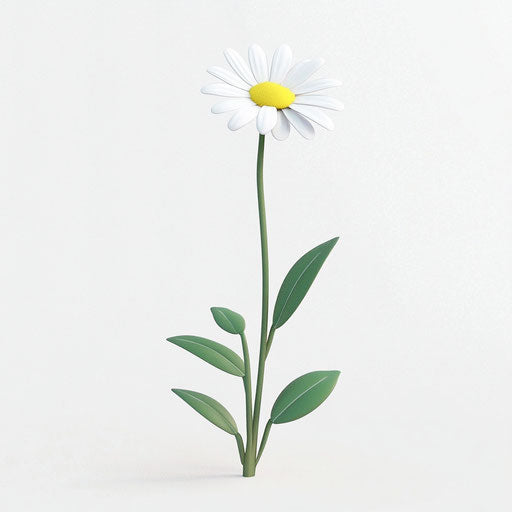 3D daisy flower on flat white background, isolated clipart