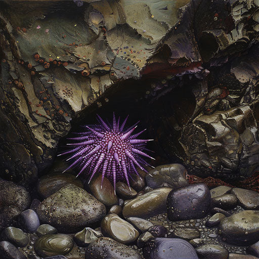 Camouflaged sea urchin in rocky seabed