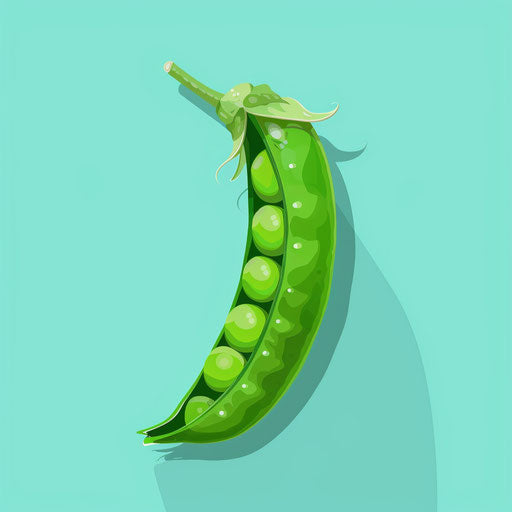 Realistic peas clipart on turquoise background, bold outlines