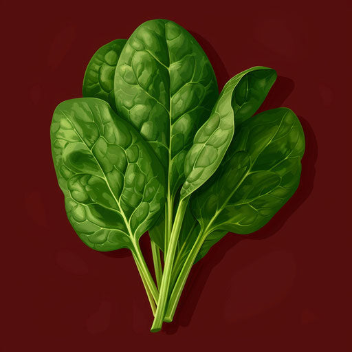 Photo-realistic spinach clipart on rich burgundy background