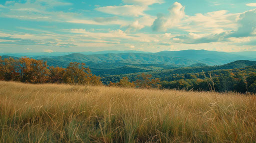 View of rural Appalachian mountains in early autumn