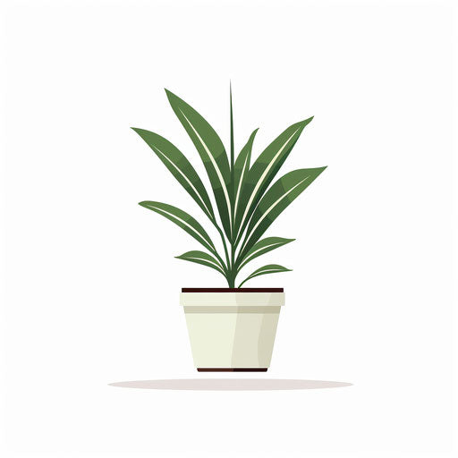 Minimalist plant illustration on white background