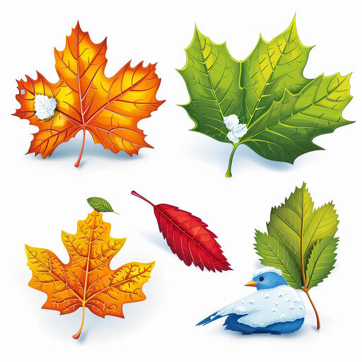 Seasons clipart in a photorealistic style on flat white background