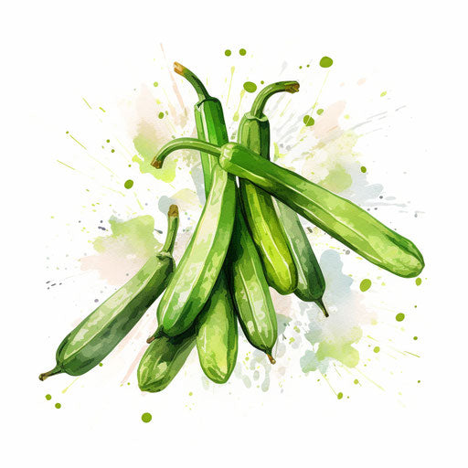 Okra clipart in the style of Impressionistic Art, on a white background