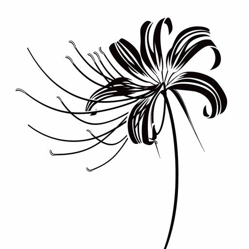 Minimalist spider lily tattoo design