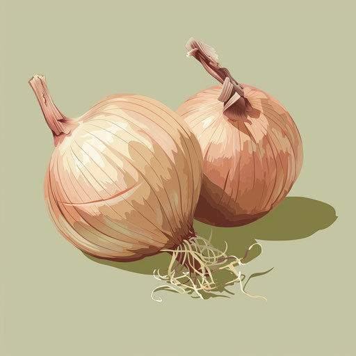 Realistic onion clipart with flat olive background