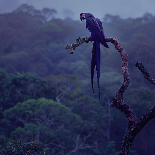 Gleaming blue parrot on twisted tree in Brazilian forest