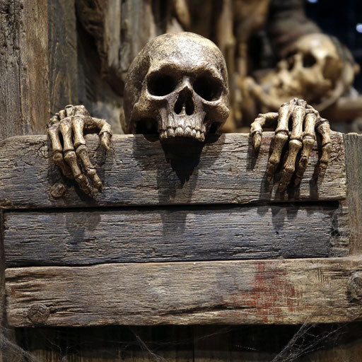 A Rustic Sign with a Menacing Skull