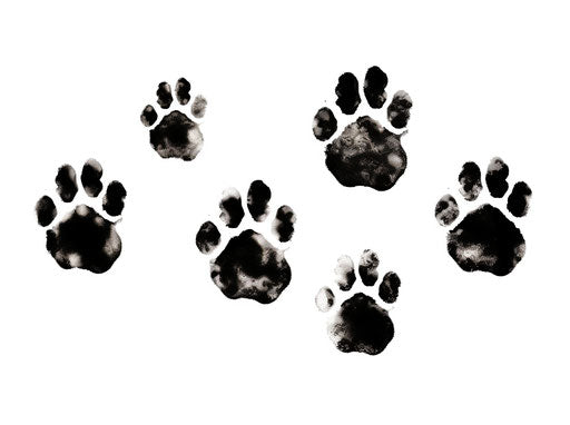 Dog paw prints on white background, animated gifs style