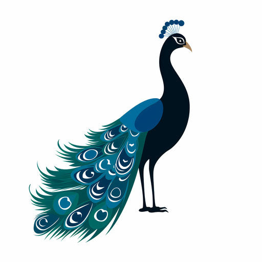 Minimalist peacock illustration on white background