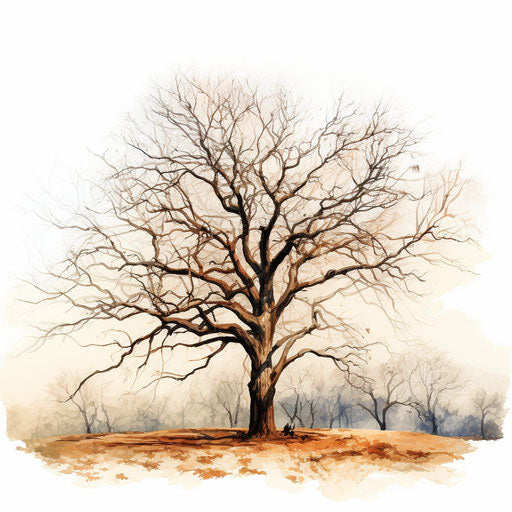Bare tree, Oil painting style, white background
