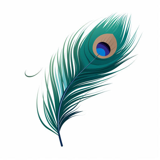 Peacock feather in Minimalist style, on white background
