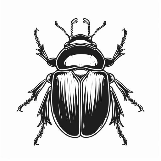 Monochrome tattoo sketch of a beetle with minimalist design