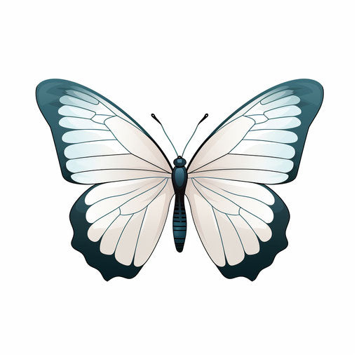 Butterfly clipart in Minimalist style, on white background