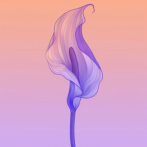 Tattoo sketch of a calla lily in a flat clipart style