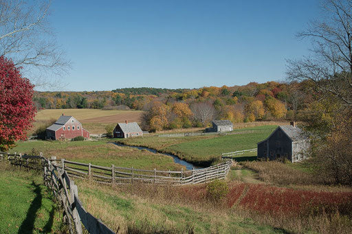 Picturesque autumn scene in New England
