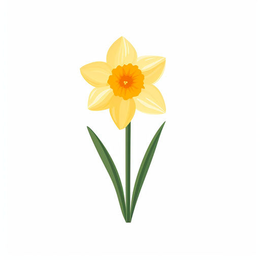 Daffodil illustration in Minimalist style, on white background