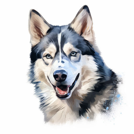 Husky illustration in the style of Oil painting, on a white background
