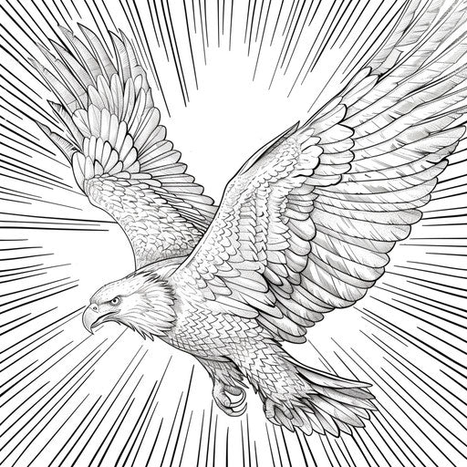 Flying eagle over sunburst background. Coloring book page