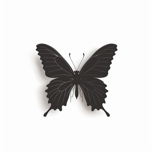 Minimalist sketch of butterfly silhouette with shadow
