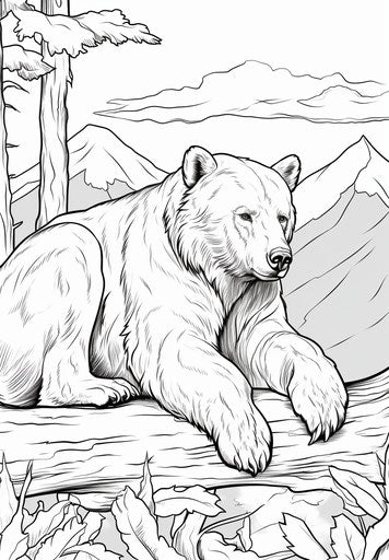 Bear coloring sheets with pictures for kids