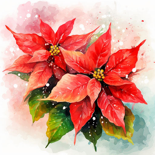 Poinsettia clipart in the style of Impressionistic Art, on a white background