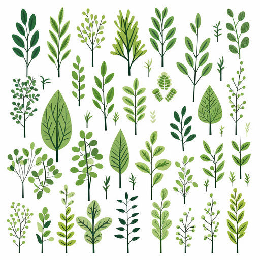 Minimalist style greenery clipart, on white background