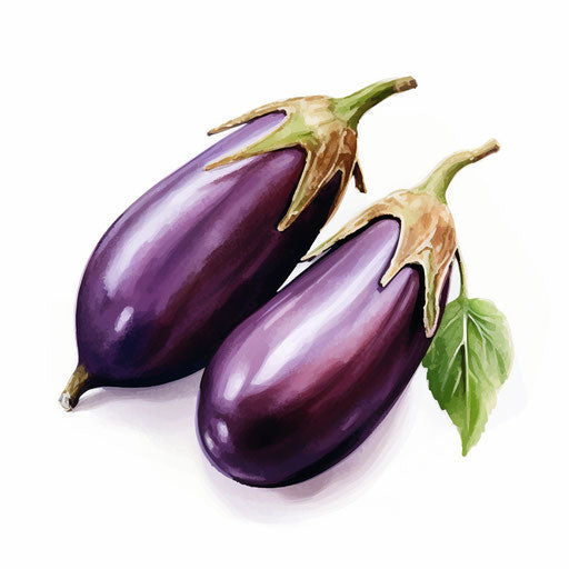 Impressionistic art of eggplant clipart