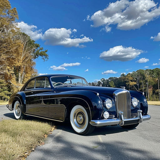 Luxury car with biometric security and cruise control