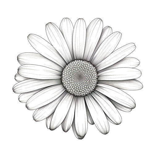 Daisy outline by ivankianina design, personal iconography style