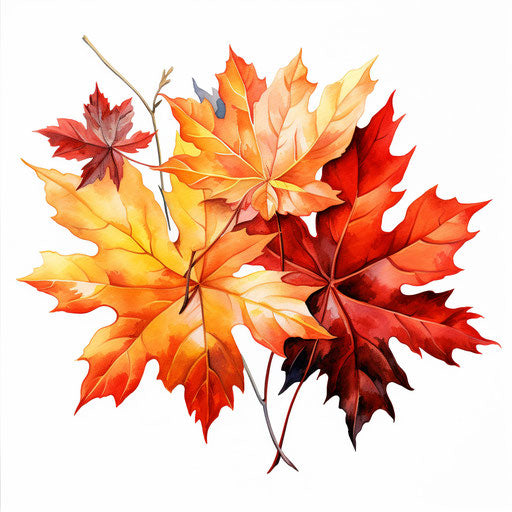 Autumn leaves clipart in the style of Chiaroscuro Art, on a white background