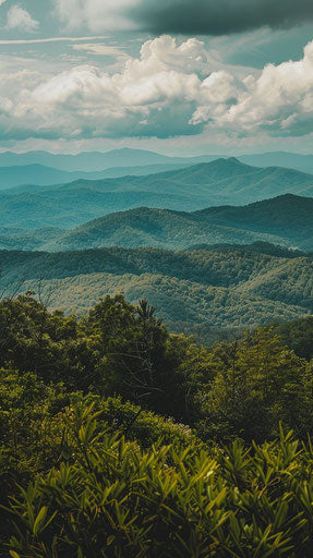 Experience the serenity of the Blue Ridge Mountains