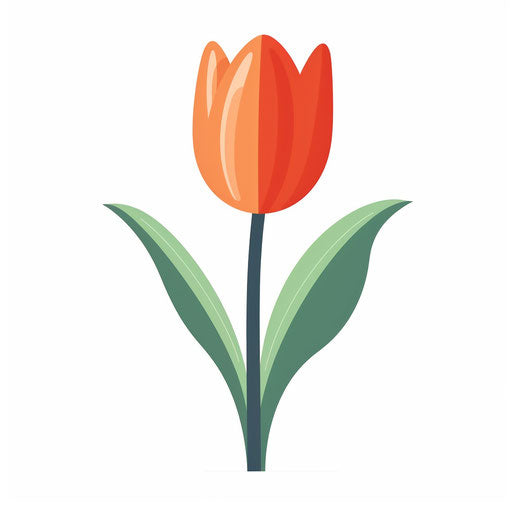 Tulip clipart in Minimalist style, on white background