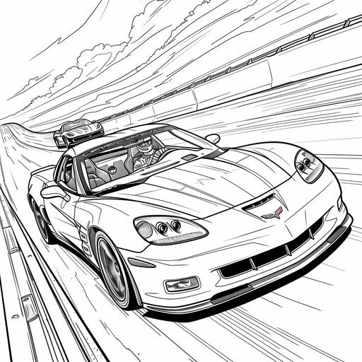 Sports car race on the highway
