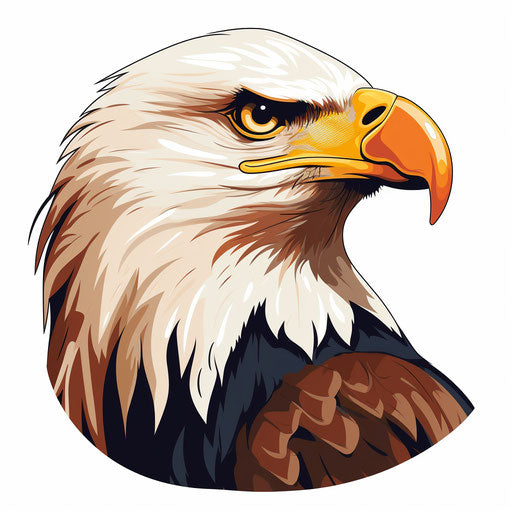 Bald eagle clipart in Minimalist style, on white background