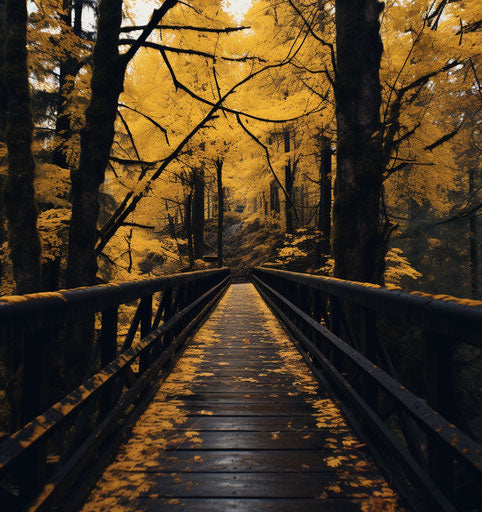 Autumn in stereoscopic photography style, northwest school