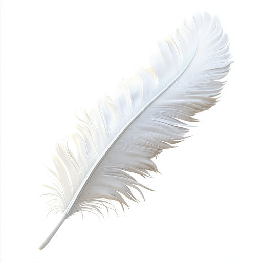 3D feather on white background, isolated