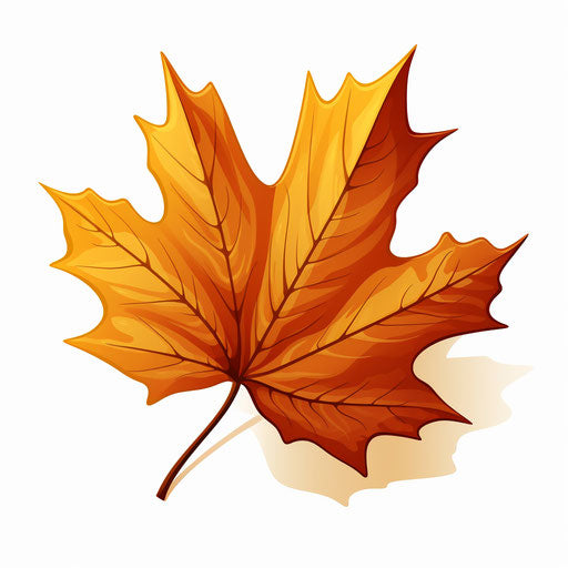 Maple leaf in the style of Chiaroscuro Art, on white background